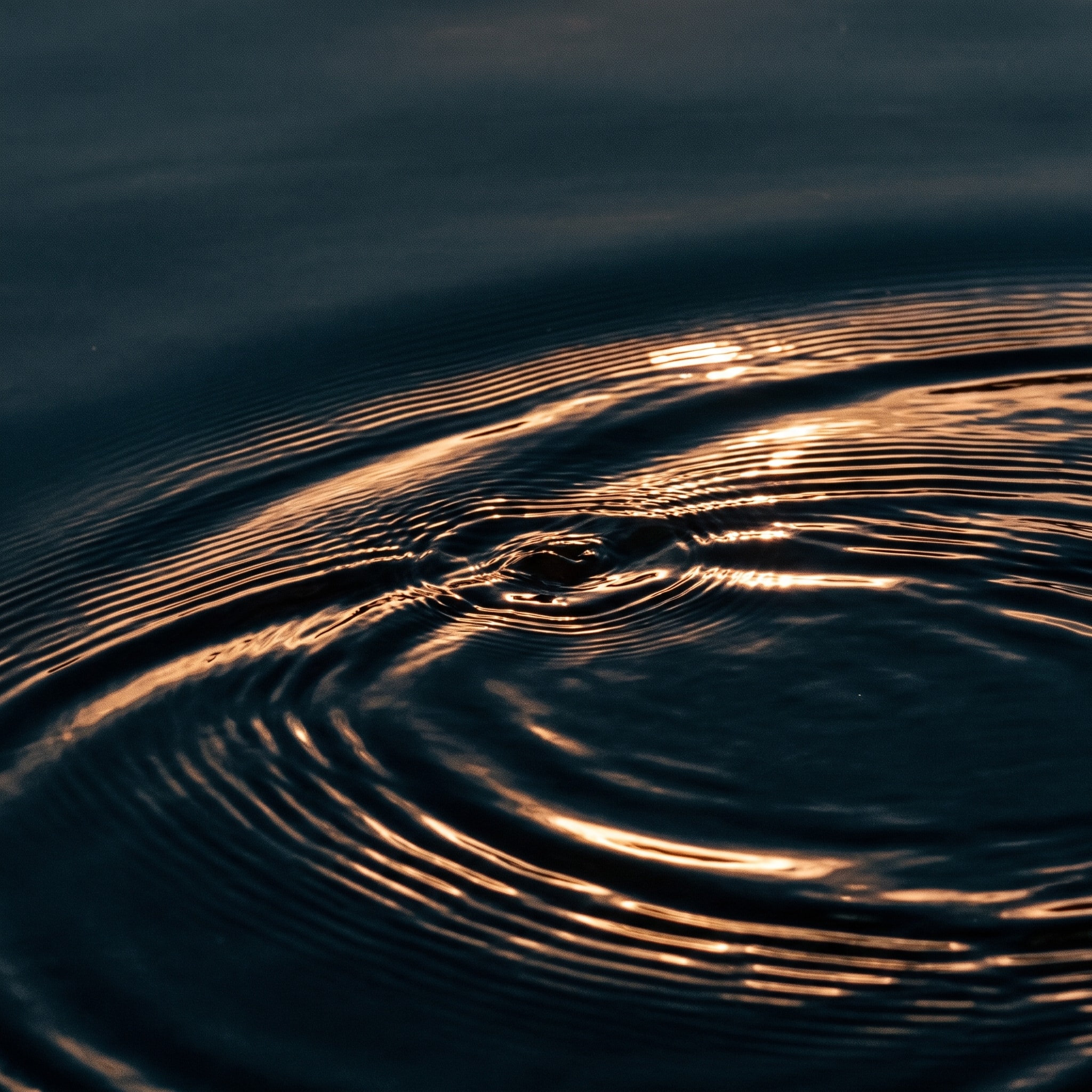 Concentric ripples catching warm light on dark water.