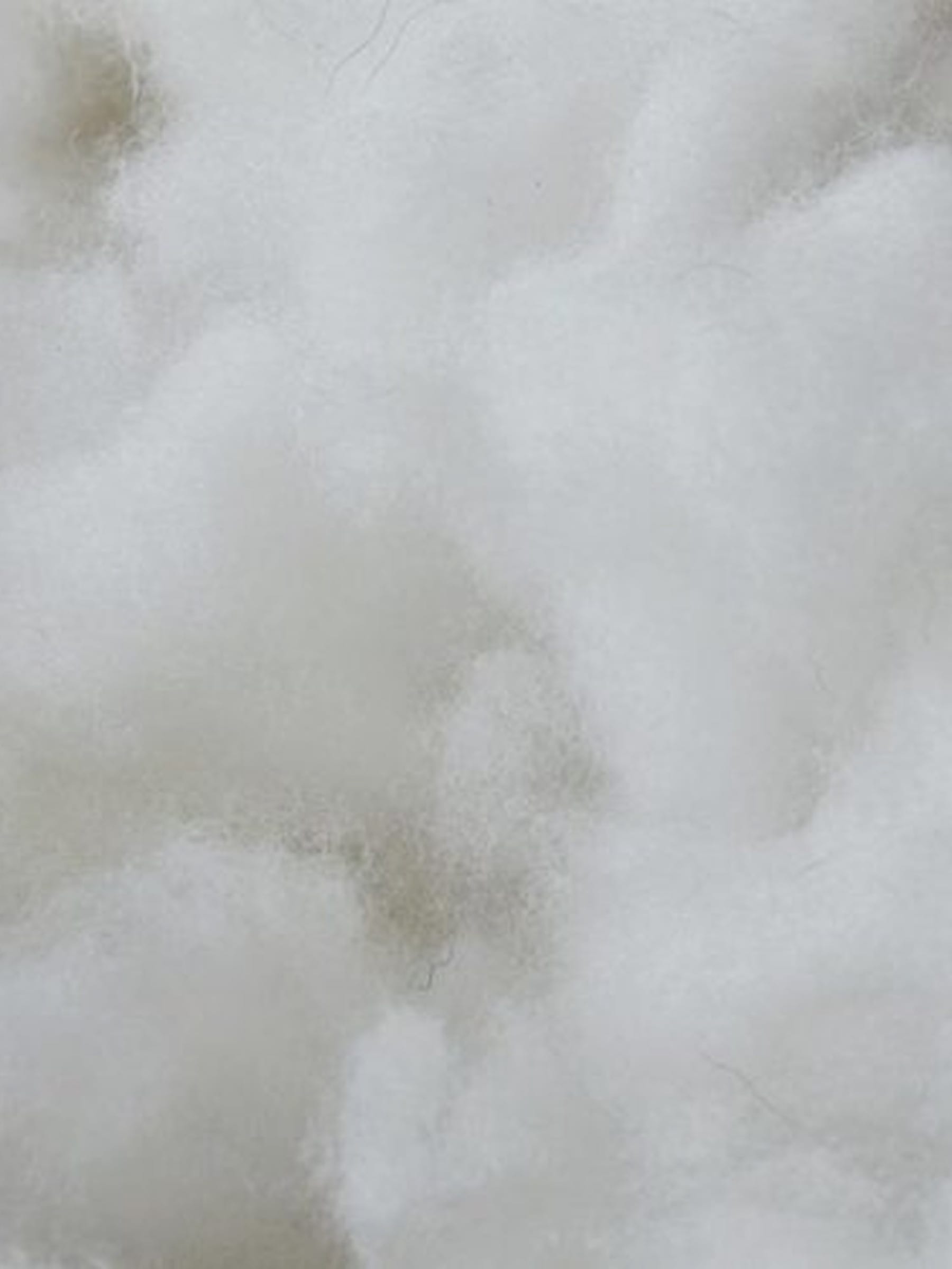 Extreme macro of soft white wool, filling the frame.