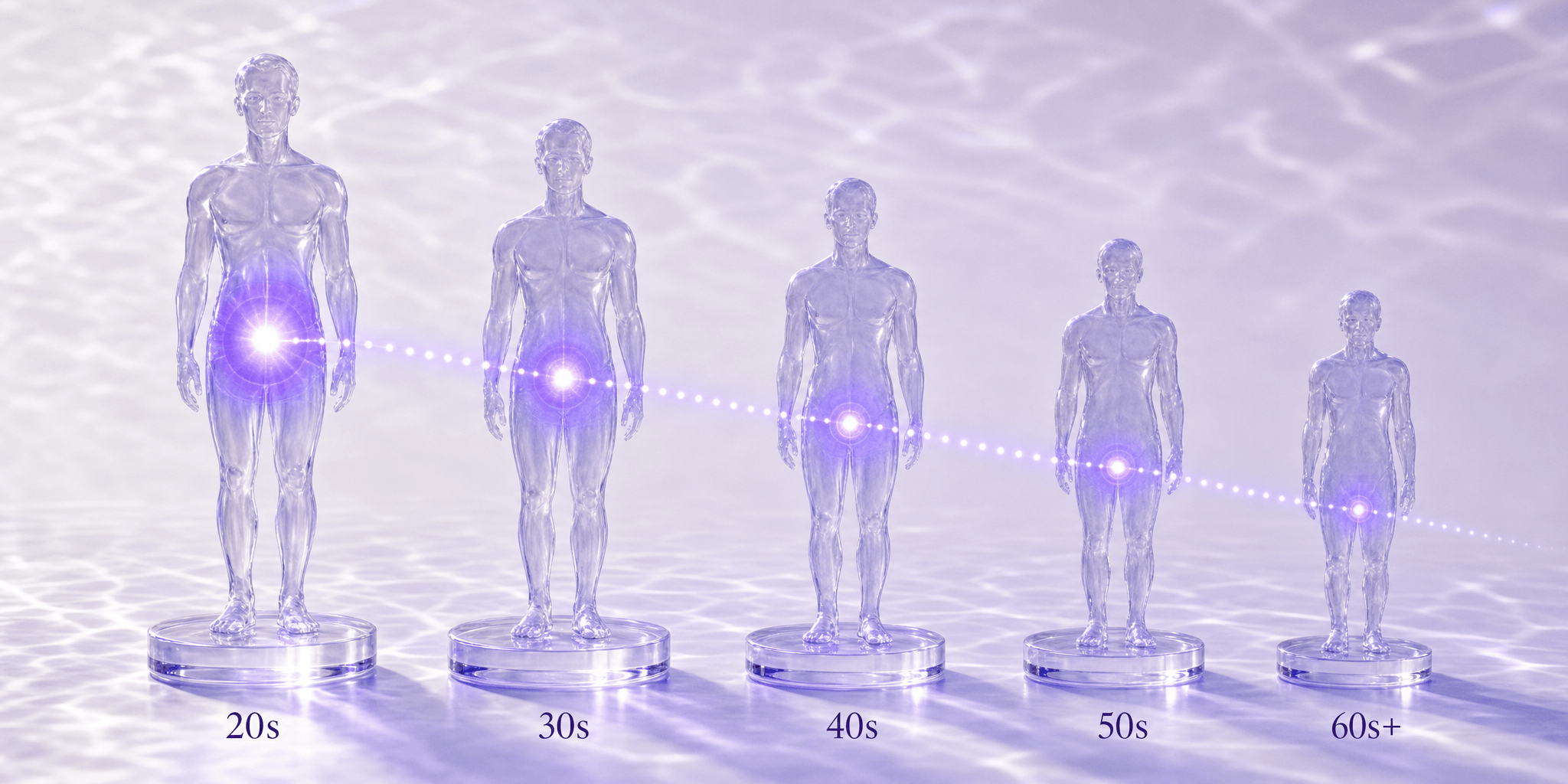 Five translucent glass human figurines in a row, shrinking from the 20s to the 60s+, each with a violet glow at its core that dims and descends along a dotted signal line — illustrating how growth-hormone rhythm fades with age.